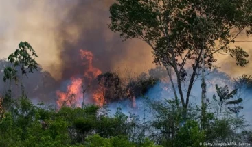 Human beings are the Reason of Amazon  Rainforest Fire: Not the wind and Heat